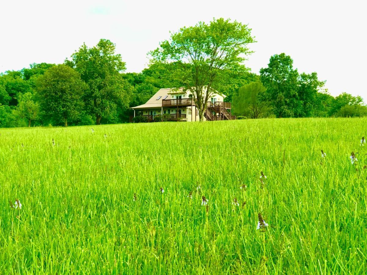 Little River Guest House At Tennessee Riverplace Chattanooga Esterno foto