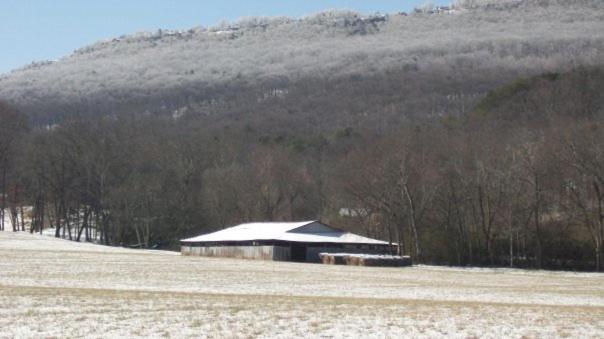 Little River Guest House At Tennessee Riverplace Chattanooga Esterno foto