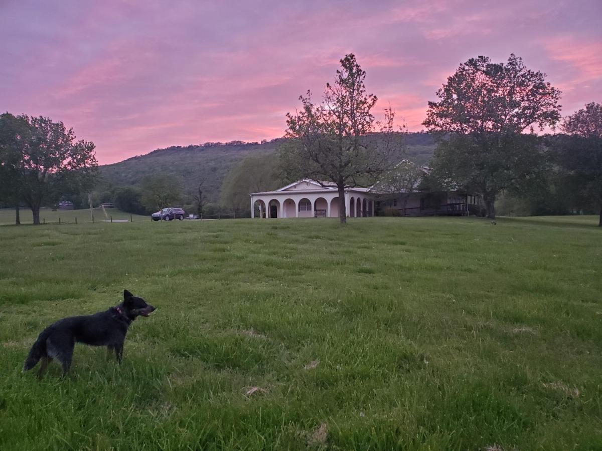 Little River Guest House At Tennessee Riverplace Chattanooga Esterno foto
